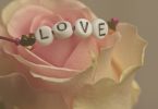 Rosa amb un braçalet amb la paraula LOVE