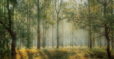 Pisos de lloguer a Barcelona