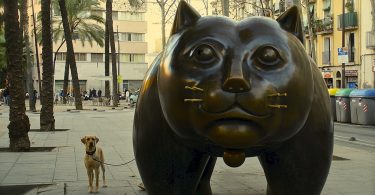 Pisos de lloguer a Barcelona