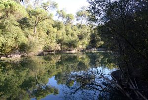 Pisos de lloguer a Barcelona