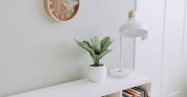 moble amb llibres, làmpara i una planta