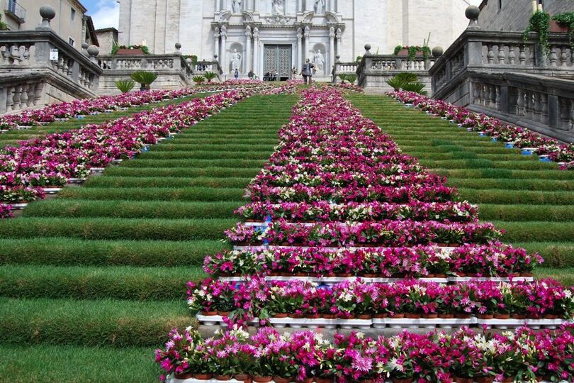  Catedral de Santa María adornada amb flors